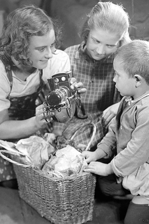 ჩქარი N 2 (1929) poster