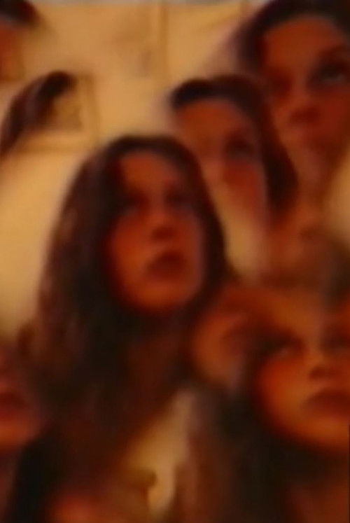 Anna and the Fly (1979) poster