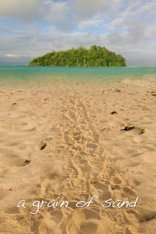 A Grain of Sand (2009) poster