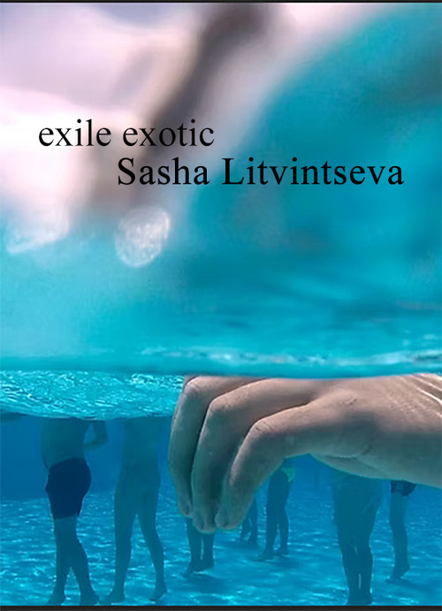 Exile Exotic (2016) poster