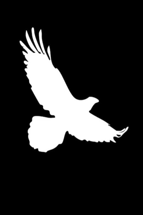 Bird on the Rise (2022) poster