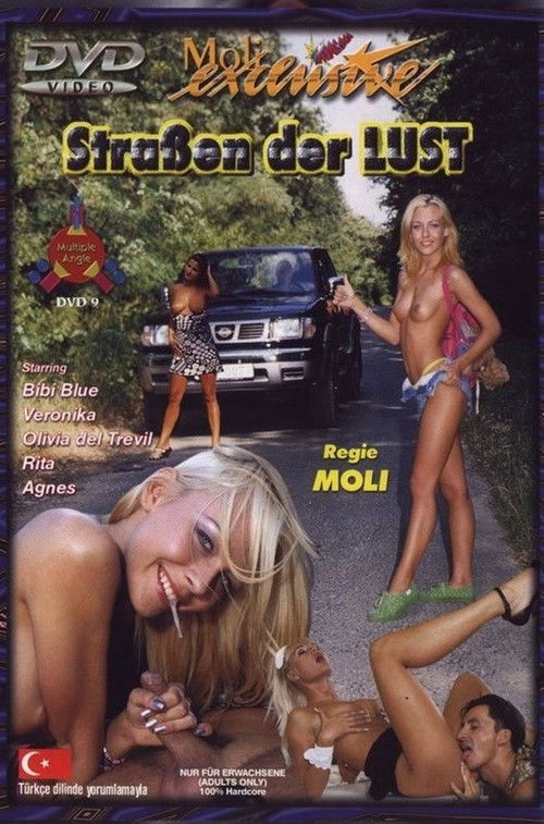 Straßen der Lust (2001) poster