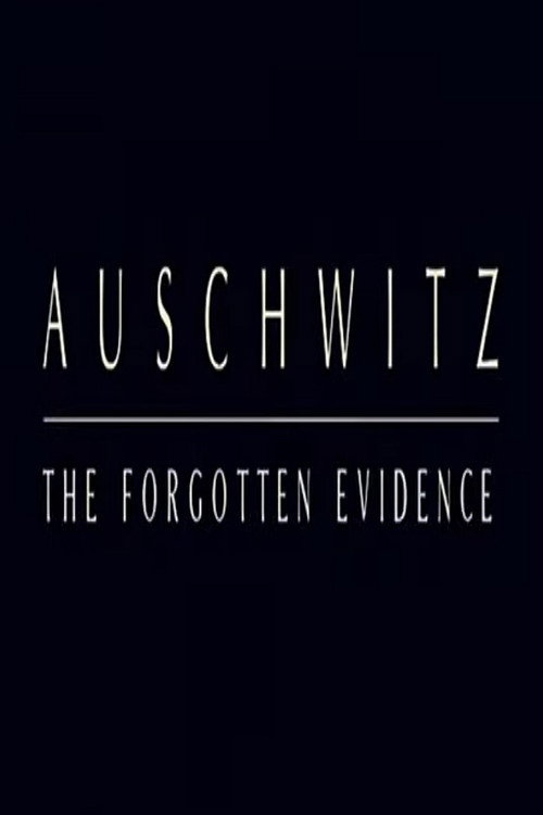 Auschwitz: The Forgotten Evidence (2004) poster