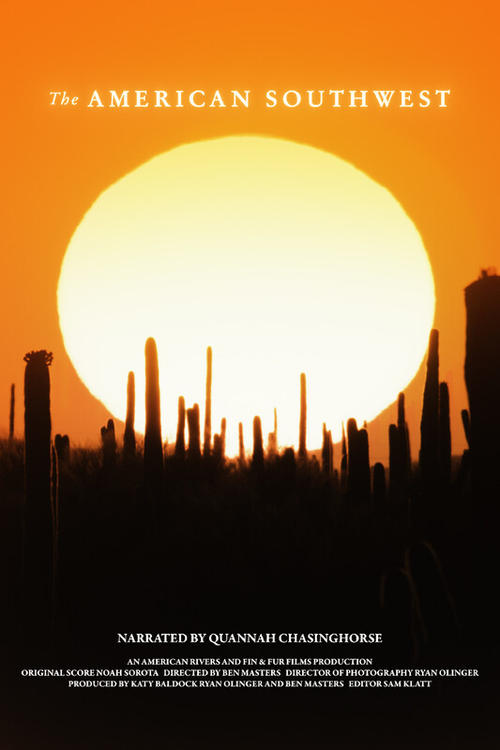 The American Southwest (2025) poster