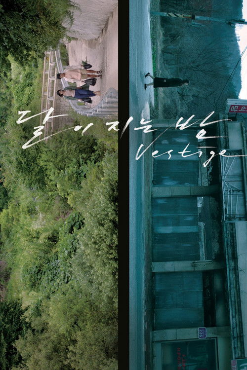 달이 지는 밤 (2022) poster