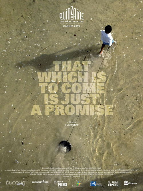 That Which Is to Come Is Just a Promise (2019) poster