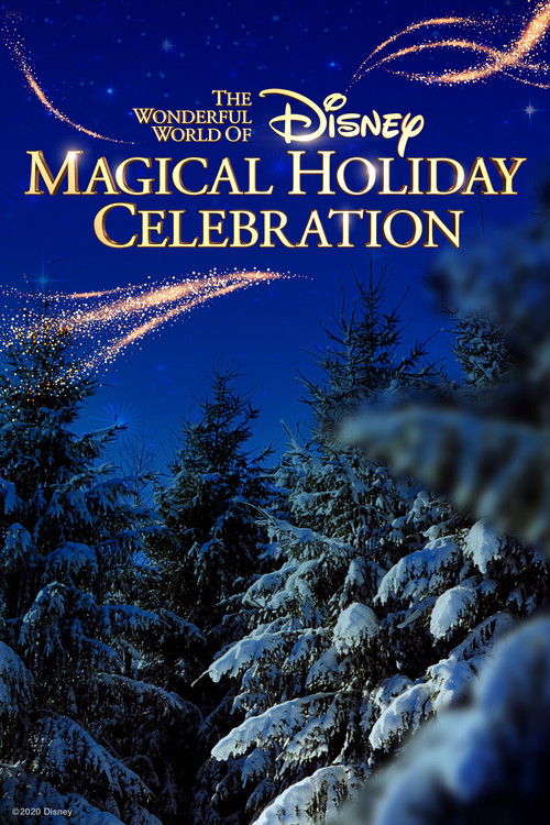 The Wonderful World of Disney: Magical Holiday Celebration (2020) poster