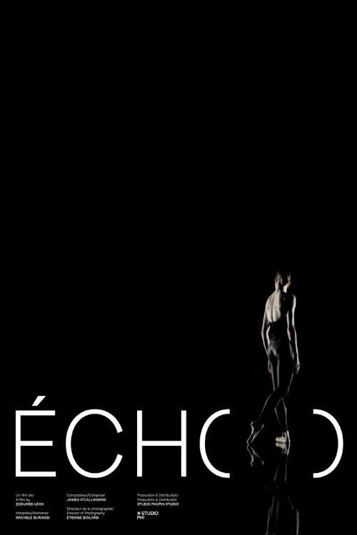 Écho poster