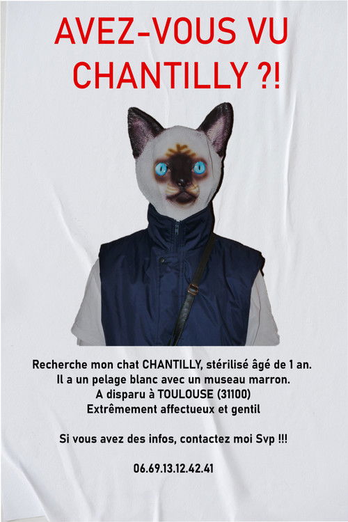 AVEZ-VOUS VU CHANTILLY ?! (2023) poster