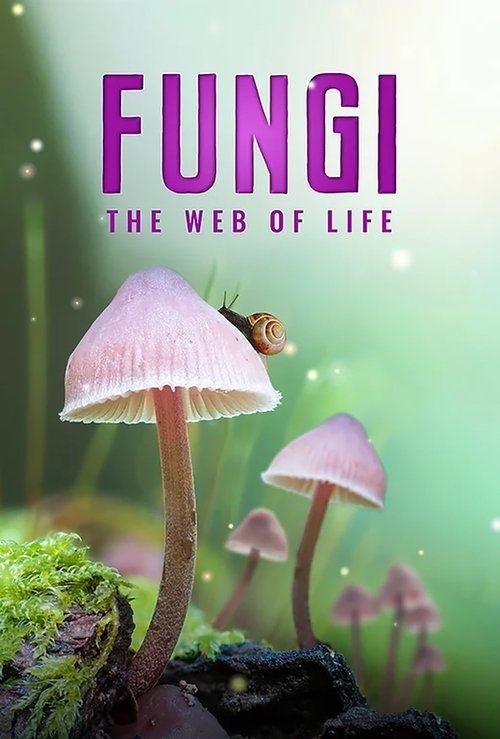 Fungi: The Web of Life (2023) poster