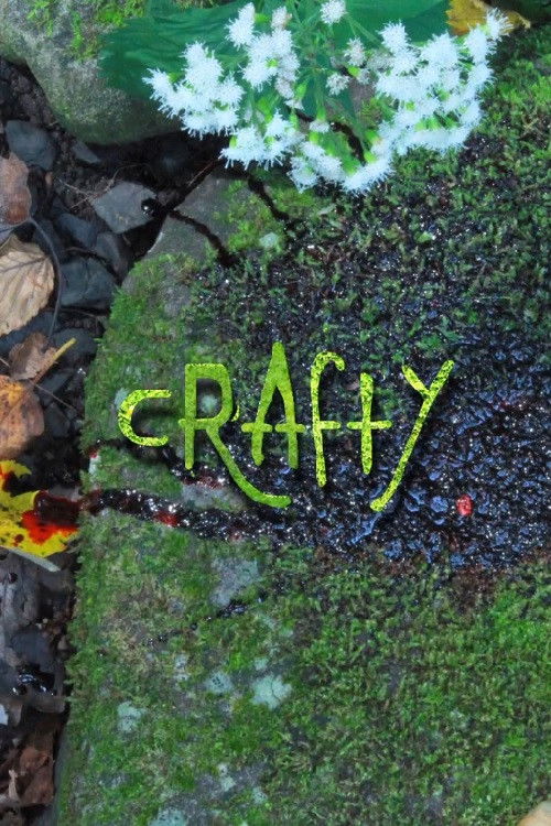 Crafty (2018) poster