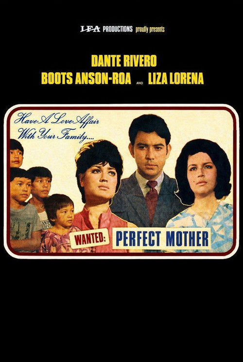 Wanted: Perfect Mother (1970) poster