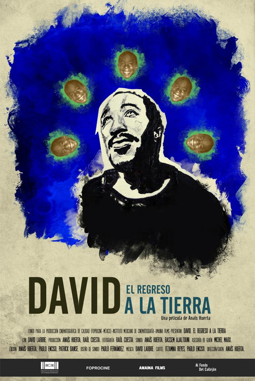 David. The Return to Land (2017) poster