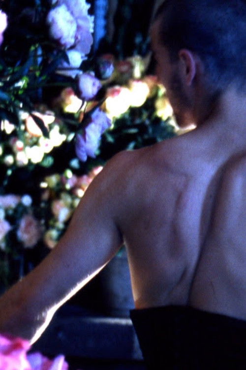 Quelques fleurs pour un chant d'amour (2006) poster