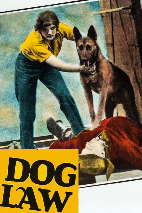 Dog Law (1928) poster