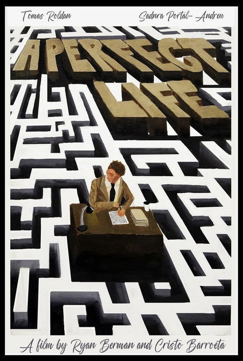 A Perfect Life (2023) poster