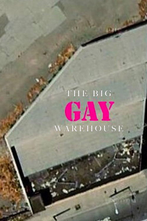 The Big Gay Doc (2017) poster