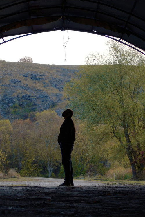 As You Wanted (2025) poster