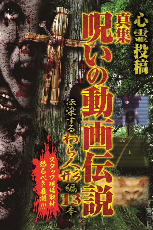 Shinshu, A Curse Video Legend: 13 Infectious Straw Dolls (2020) poster