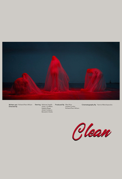 Clean (2020) poster