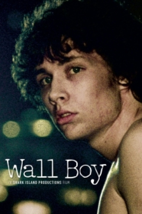 Wall Boy (2009) poster