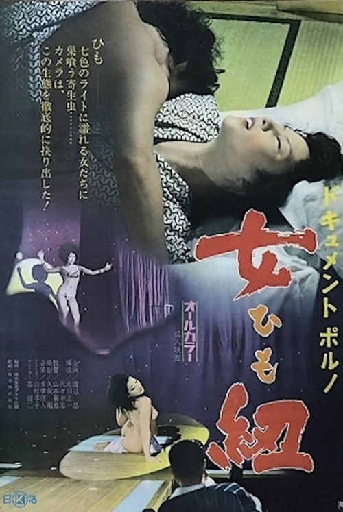 Dokyumento poruno: Himo (1973) poster