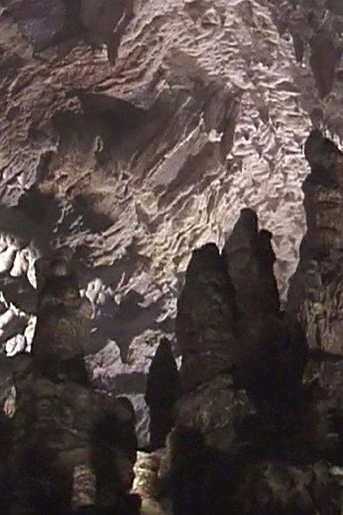 Nine Guided Tours (2000) poster