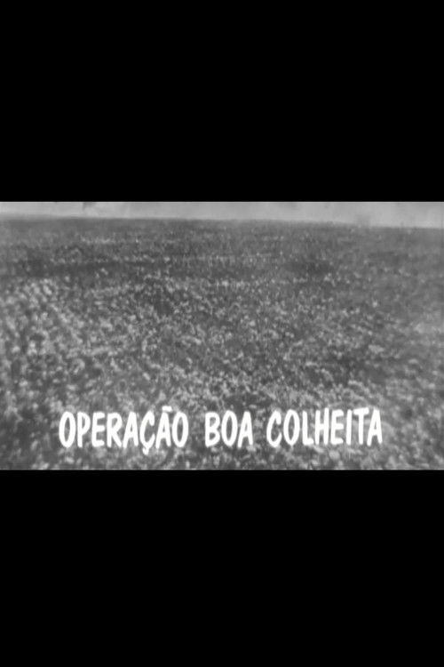 Operação Boa Colheita (1977) poster