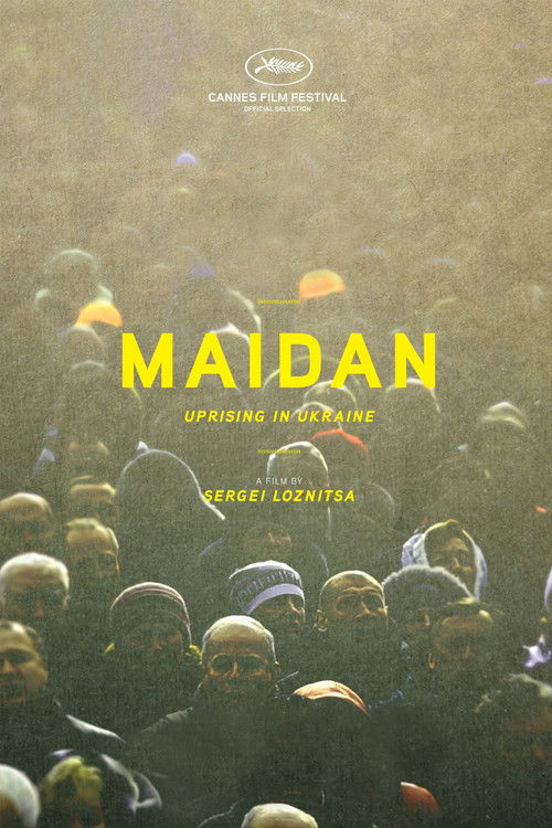 Maidan (2014) poster