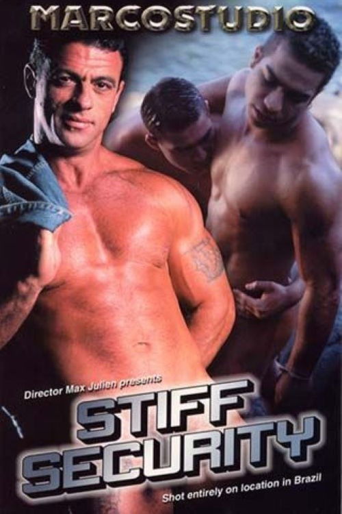Stiff Security (2002) poster