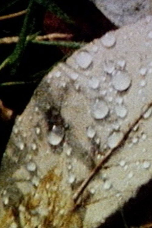 Through and Through (1991) poster