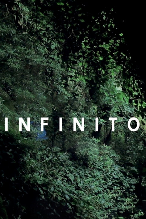 Infinito (2011) poster