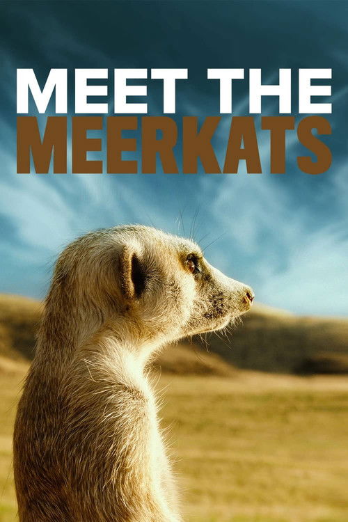 Meet the Meerkats (2022) poster