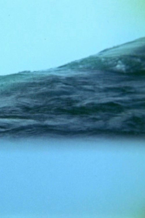 Translucent Appearances (1975) poster