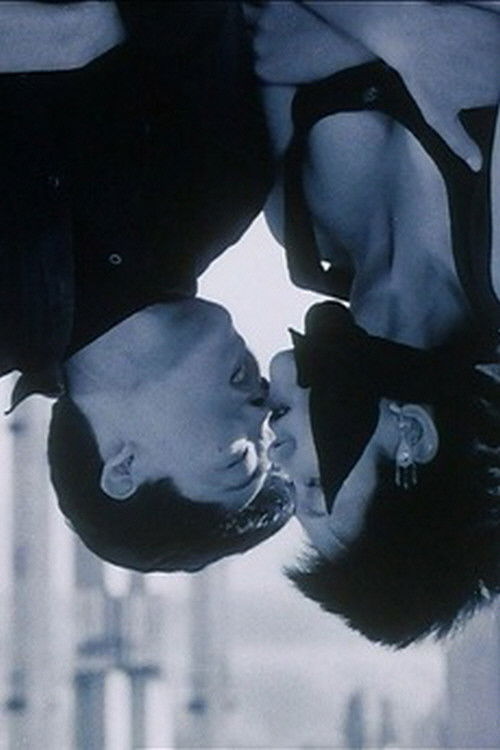 The Rough River, the Placid Sea (2004) poster