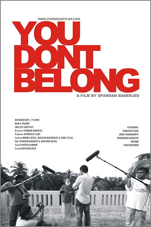 You Don't Belong (2011) poster