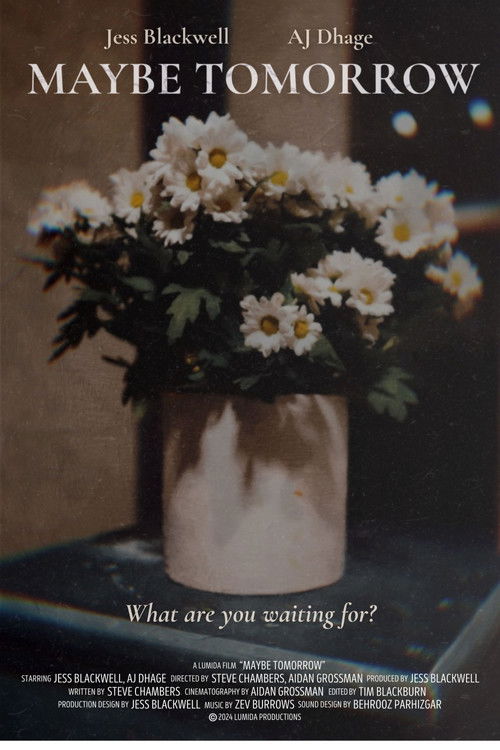 Maybe Tomorrow poster