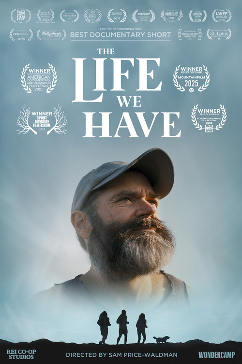 The Life We Have (2025) poster