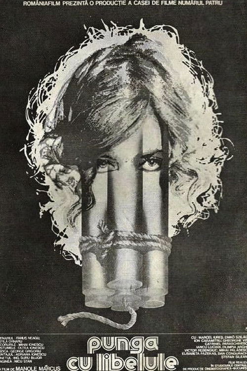 The Dragonfly Bag (1981) poster