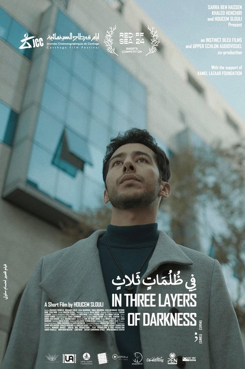 In Three Layers of Darkness (2024) poster