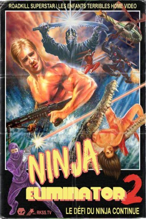 Ninja Eliminator 2: Quest of the Magic Ninja Crystal (2010) poster