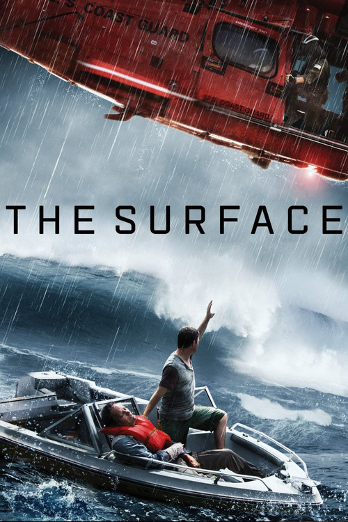 The Surface (2014) poster