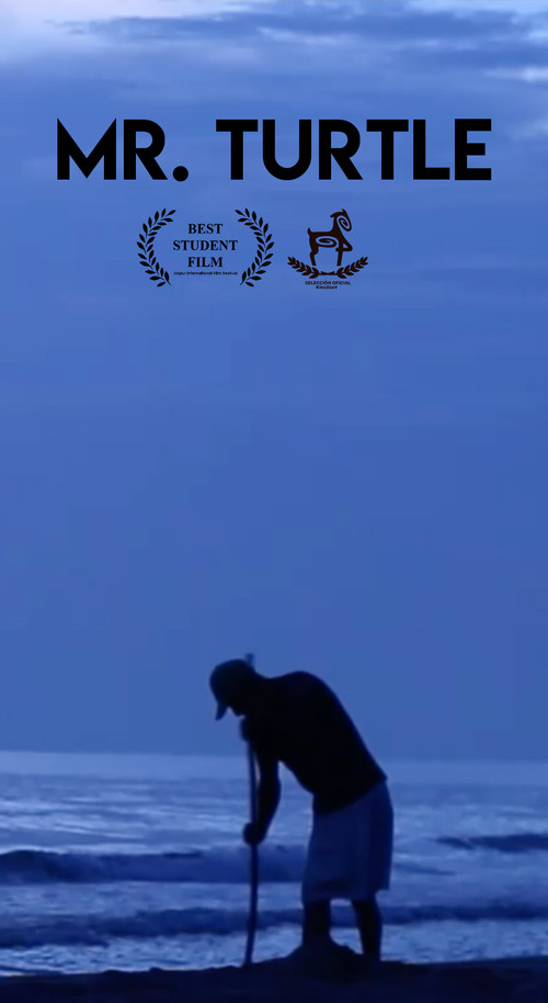 Mr. Turtle (2018) poster