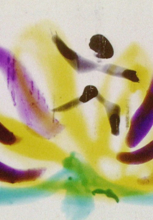 Calypso (1955) poster