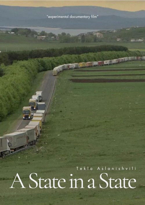 A State in a State (2022) poster