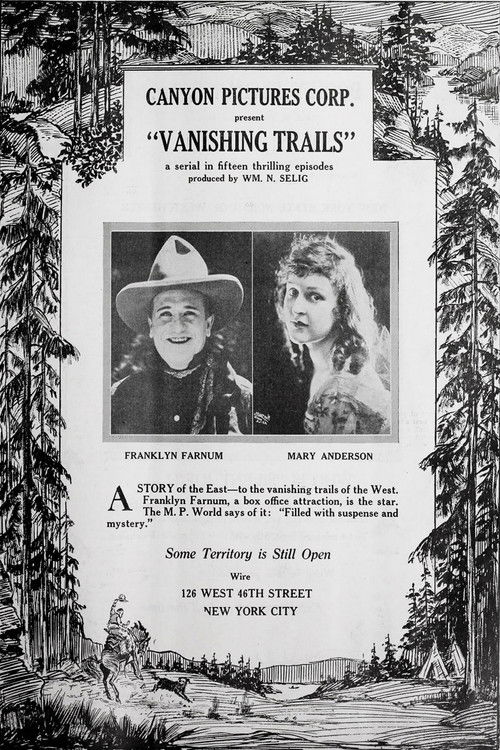 Vanishing Trails (1920) poster