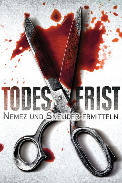 Todesfrist – Nemez und Sneijder ermitteln (2019) poster