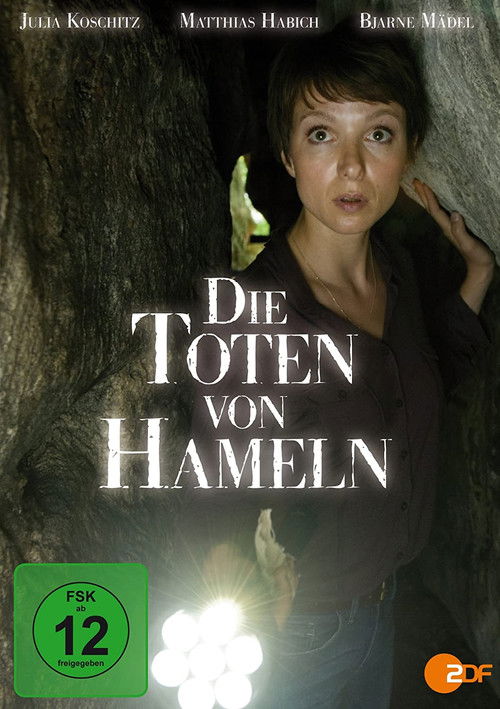 Die Toten von Hameln (2014) poster