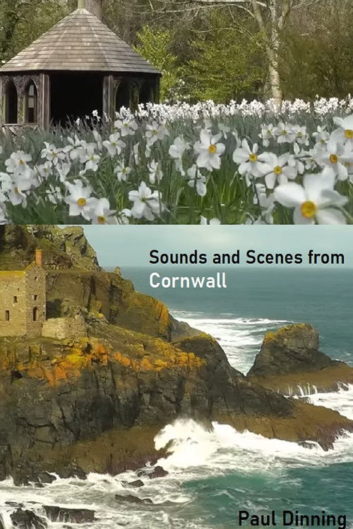 Sounds and Scenes from Cornwall (2024) poster