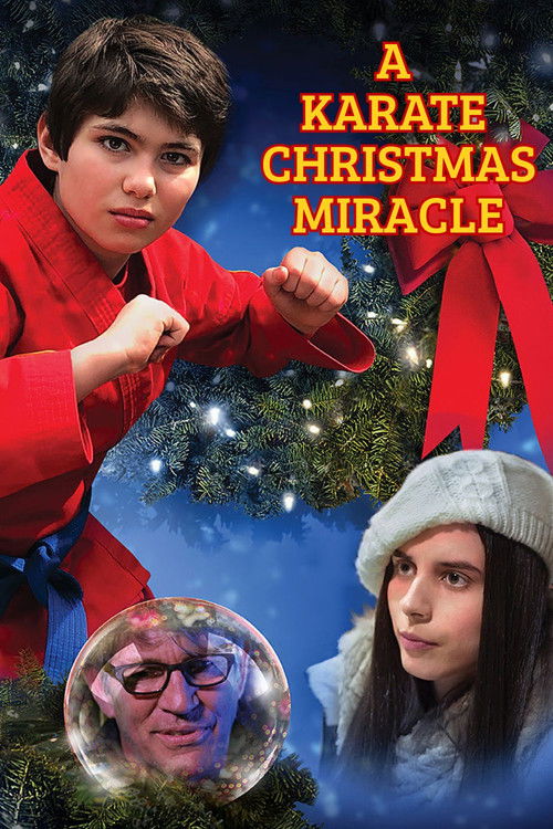 A Karate Christmas Miracle (2019) poster